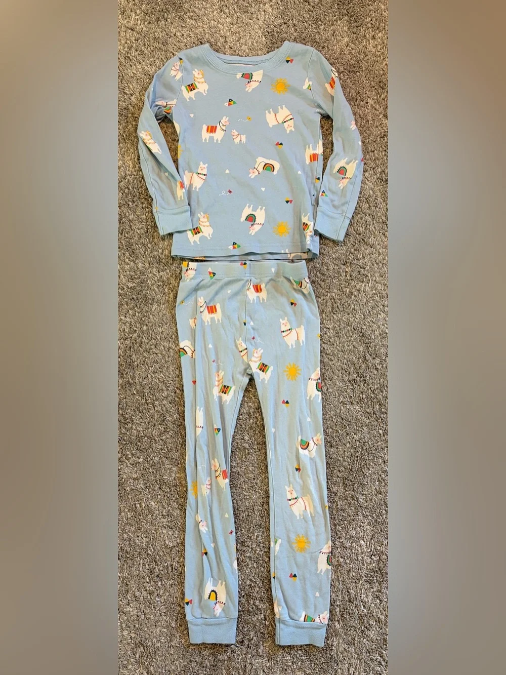 Girl’s Light Blue Llama Print Pajama Set 6T